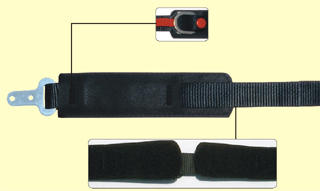 ccs1_hi_1.jpg (30210 bytes)