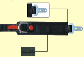 ccs1_hi_2.jpg (23608 bytes)