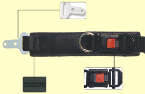 ccs1_med_1.jpg (30493 bytes)