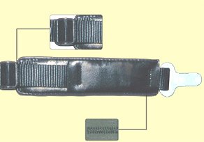 ccs_hi_2.jpg (30395 bytes)