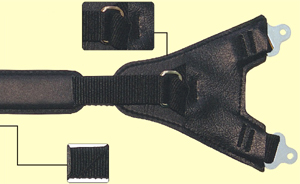 ccs_med_2.jpg (37612 bytes)